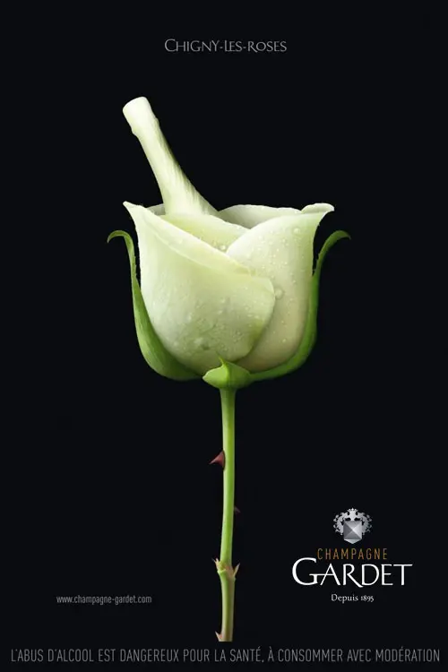 GARDET Plakat „Rose Seau"